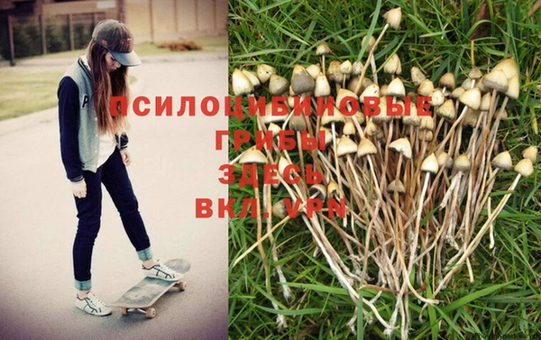 скорость Бронницы