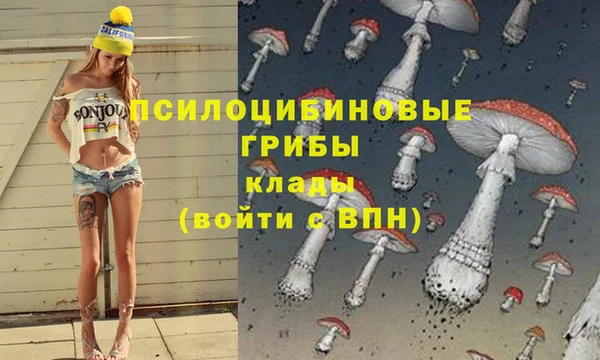 MESCALINE Бородино