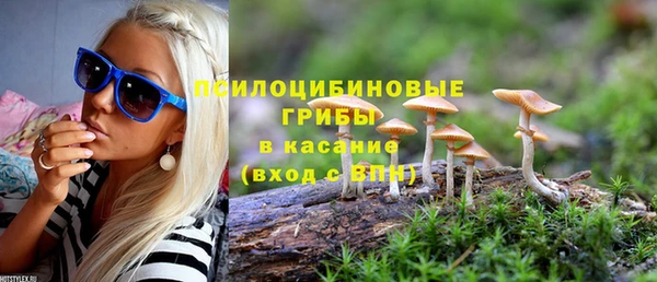 а пвп мука Бугульма