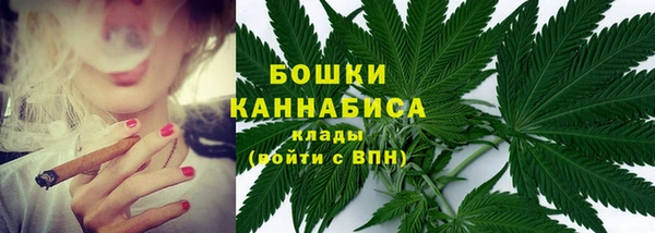 дмт Богородск