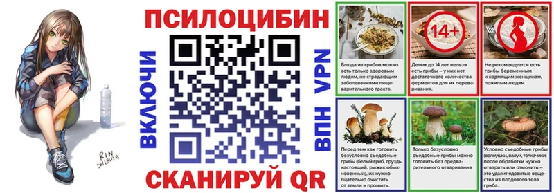 Псилоцибиновые грибы Cubensis  Долгопрудный 